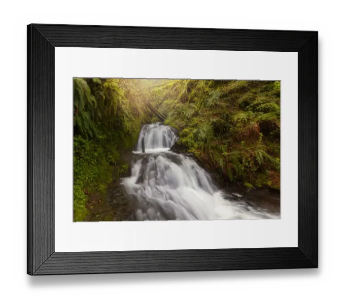 Framed Print : Morning Light at Shepperds Dell Waterfall Framed Print : Morning Light at Shepperds Dell Waterfall
