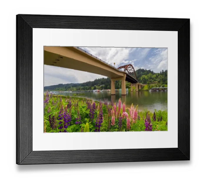Framed Print : Lupine Bloomingby Sauvie Island Bridge Framed Print : Lupine Bloomingby Sauvie Island Bridge