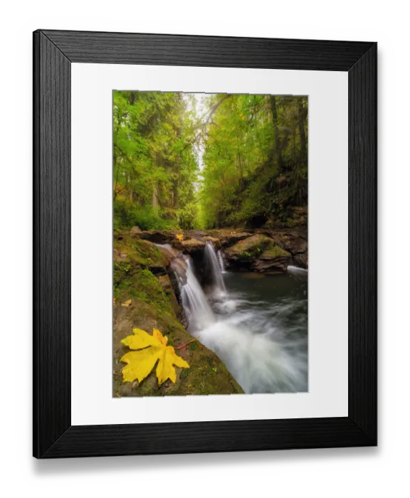 Framed Print : Waterfall aat Rock Creek in Clackamas Oregon in Fall Season Framed Print : Waterfall aat Rock Creek in Clackamas Oregon in Fall Season