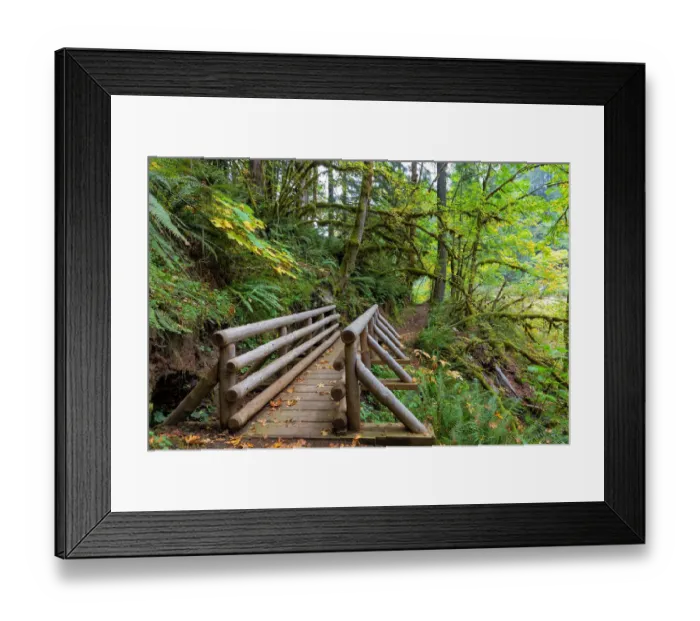 Framed Print : Footbridge at Butte Creek Hiking Trail Framed Print : Footbridge at Butte Creek Hiking Trail
