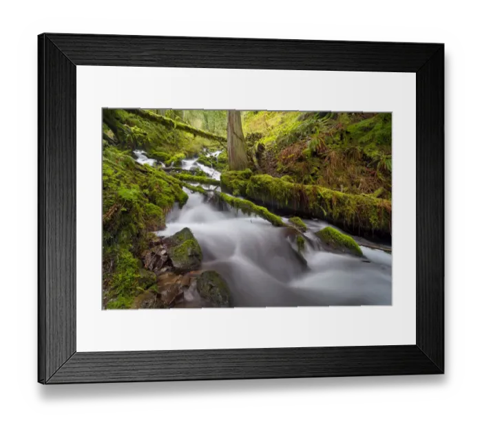 Framed Print : Wahkeena Creek at Sprintime Framed Print : Wahkeena Creek at Sprintime