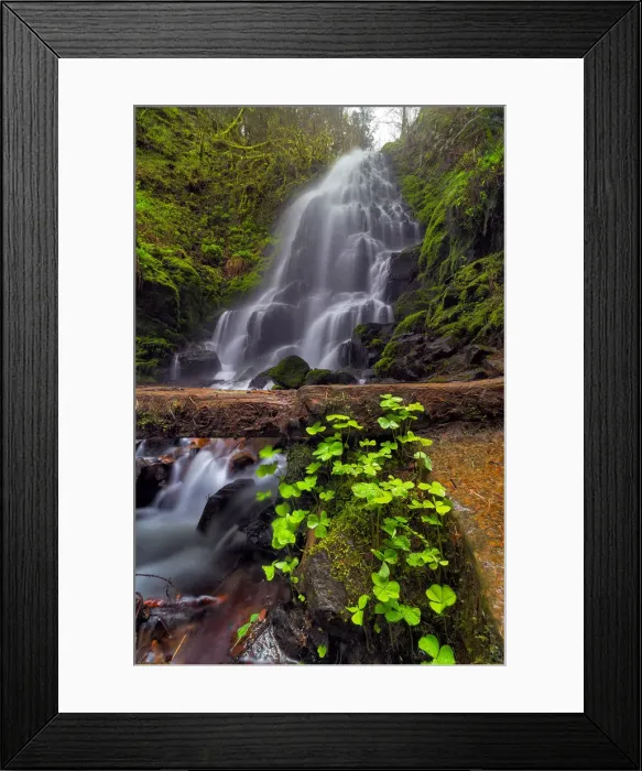 Framed Print : Fairy Falls in Springtime Framed Print : Fairy Falls in Springtime