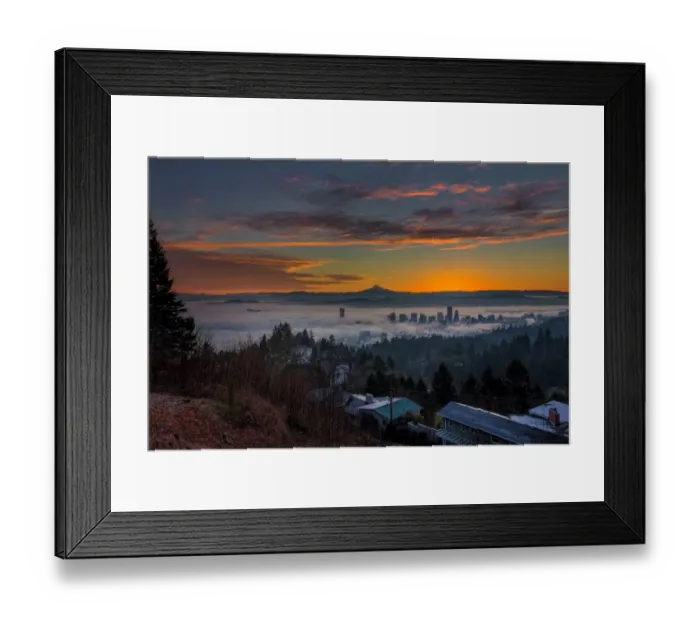 Framed Print : Early Bird Special Framed Print : Early Bird Special