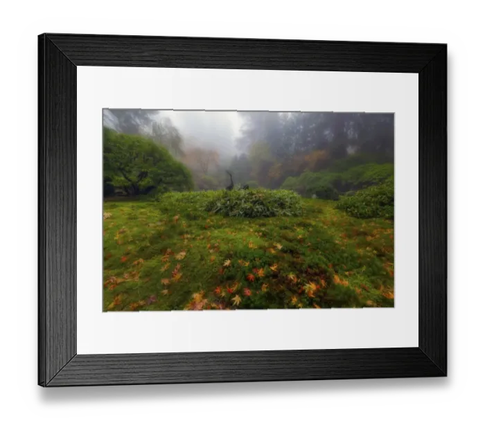 Framed Print : Bird watching Framed Print : Bird watching