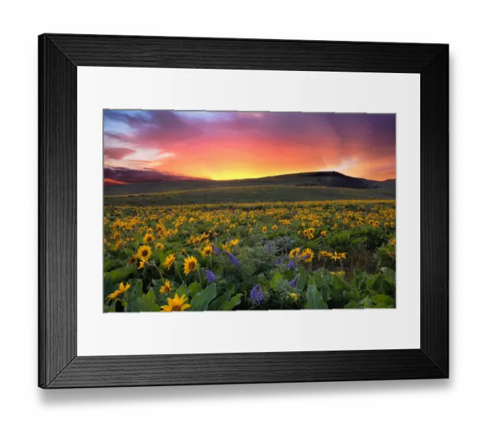 Framed Print : Sunset at Columbia Hills State Park Framed Print : Sunset at Columbia Hills State Park