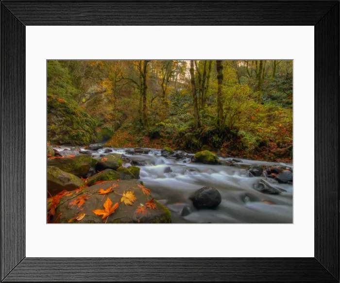 Framed Print : Autumn in Bridal Veil Falls State Park Oregon