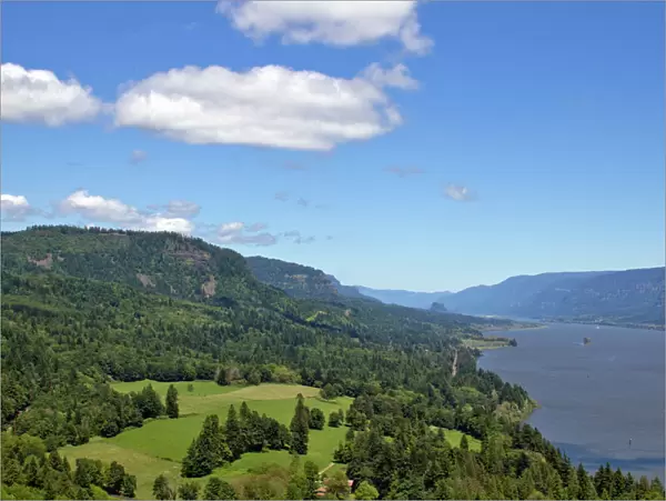 Columbia River Gorge From Cape Horn Lookout