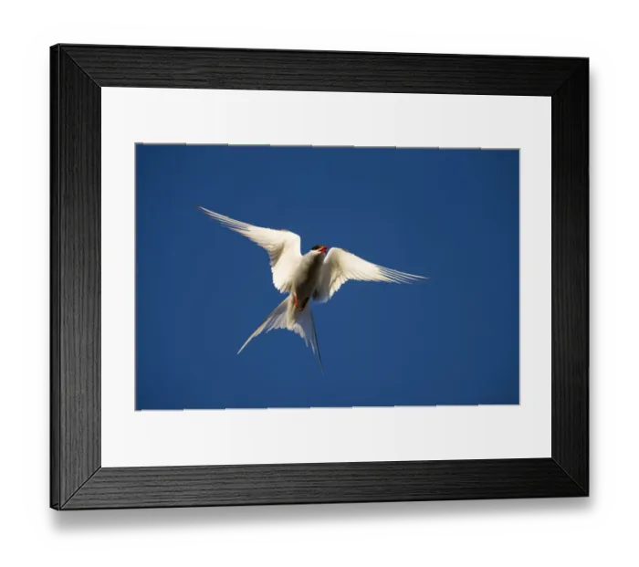 Framed Print : Paul Souders Photography Framed Print : Paul Souders Photography