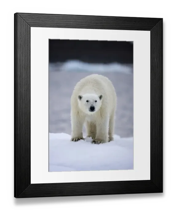 Framed Print : Paul Souders Photography Framed Print : Paul Souders Photography