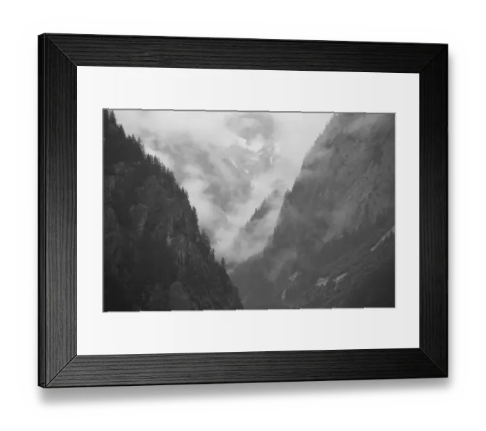 Framed Print : Rainforest, Fords Terror, Alaska Framed Print : Rainforest, Fords Terror, Alaska