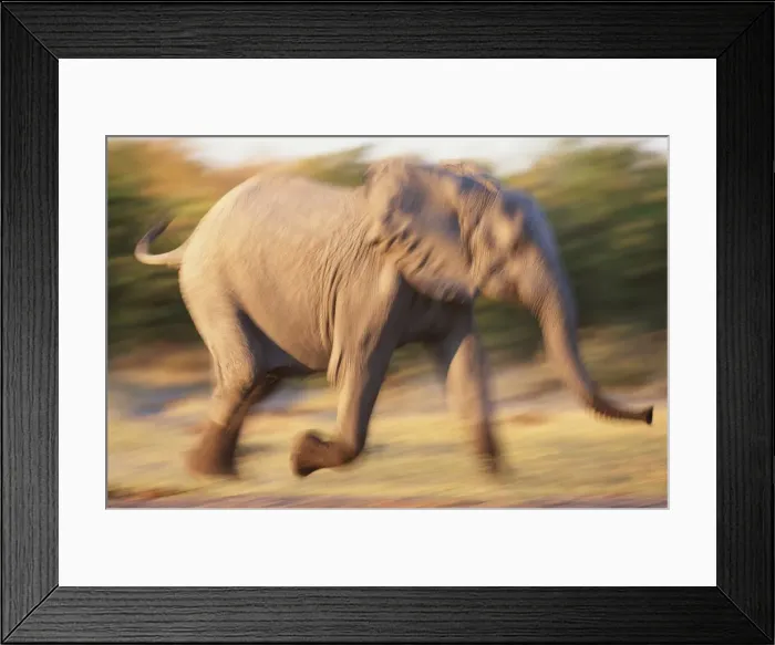 Framed Print : Paul Souders Photography Framed Print : Paul Souders Photography