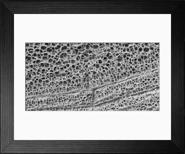 Framed Print : Weathered sedimentary rocks at Elgol