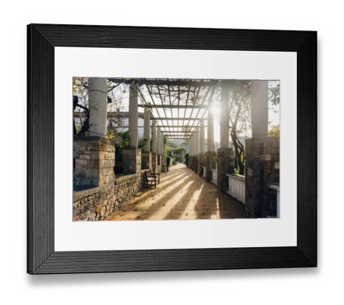 Framed Print : Sun shining through the alley incJardins de Laribal, Barcelona, Spain Framed Print : Sun shining through the alley incJardins de Laribal, Barcelona, Spain