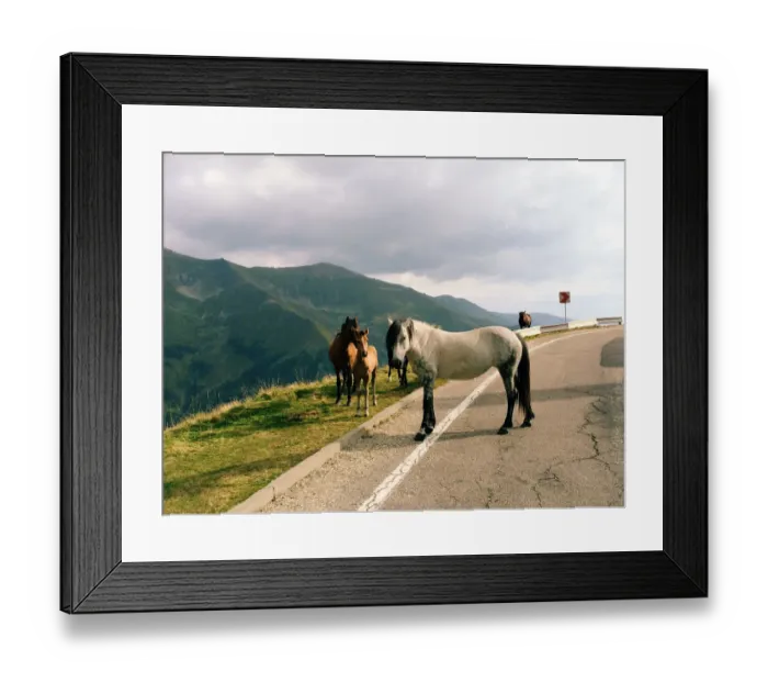 Framed Print : Summer On The Road Framed Print : Summer On The Road