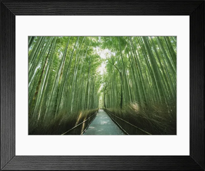 Framed Print : Bamboo forest, Kyoto, Japan Framed Print : Bamboo forest, Kyoto, Japan