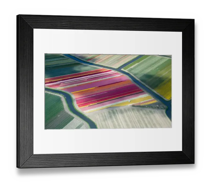 Framed Print : Tulip fields, aerial view, South Holland, the Netherlands Framed Print : Tulip fields, aerial view, South Holland, the Netherlands