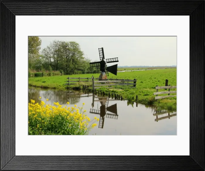 Framed Print : Small traditional windmill for water drainage Framed Print : Small traditional windmill for water drainage
