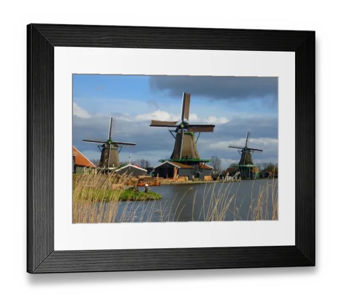 Framed Print : Windmills in Zaanse Schans Framed Print : Windmills in Zaanse Schans