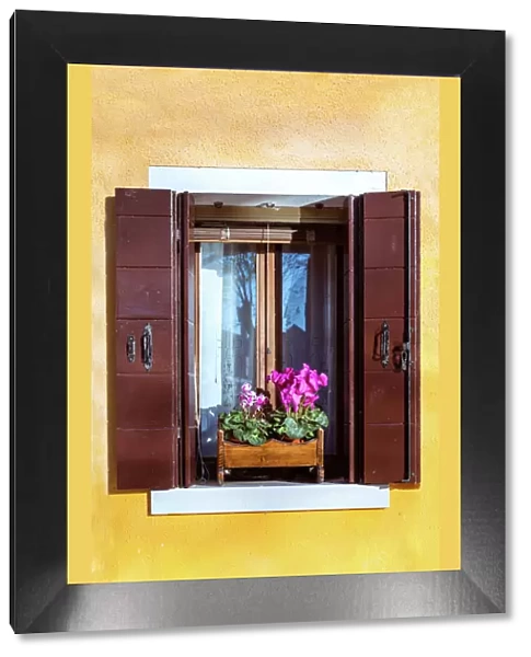 Typical colorful wall and window, Burano, Venice