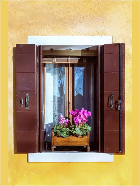 Typical colorful wall and window, Burano, Venice