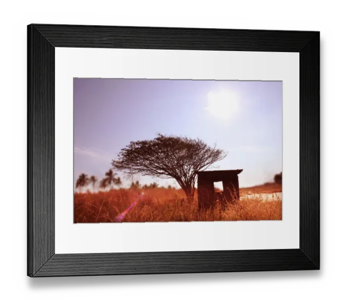 Framed Print : Abandoned hut with dried weeds Framed Print : Abandoned hut with dried weeds