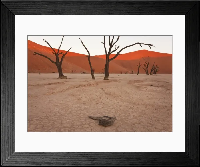 Framed Print : Dead Trees, Dry Clay Pan, Dead Vlei, Namibia Framed Print : Dead Trees, Dry Clay Pan, Dead Vlei, Namibia
