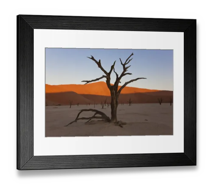 Framed Print : Dead Trees, Dry Clay Pan, Dead Vlei, Namibia Framed Print : Dead Trees, Dry Clay Pan, Dead Vlei, Namibia
