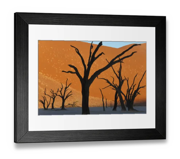 Framed Print : Dead Vlei, Soussusvlei, Namibia, Africa Framed Print : Dead Vlei, Soussusvlei, Namibia, Africa