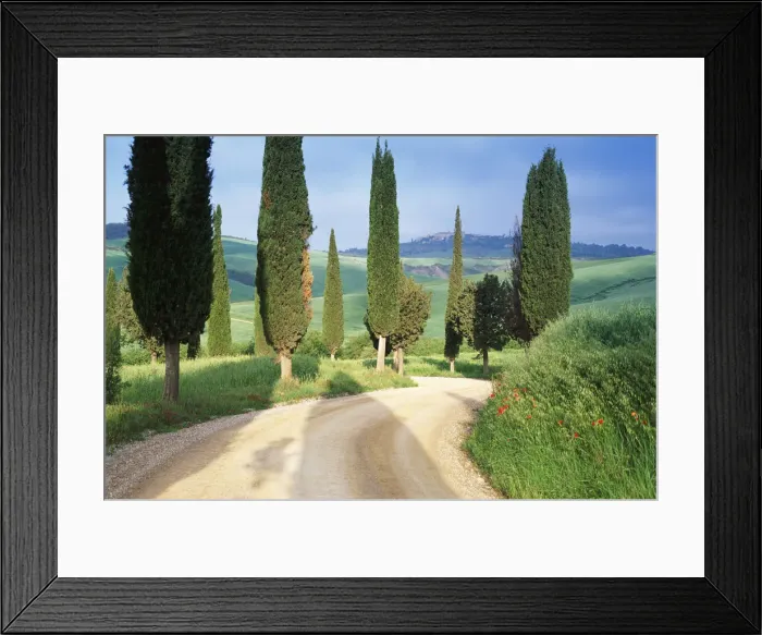 Framed Print : Country Road Framed Print : Country Road
