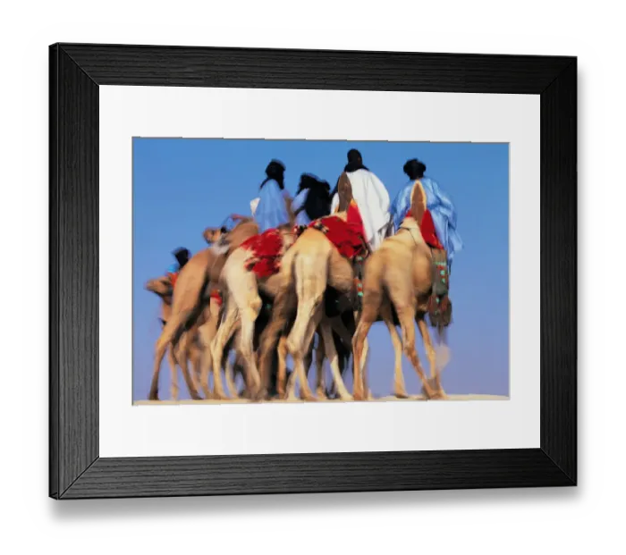 Framed Print : Mali, Timbuktu, Sahara Desert, Tuareg camel riders Framed Print : Mali, Timbuktu, Sahara Desert, Tuareg camel riders