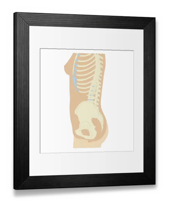 Framed Print : Cross section biomedical illustration of anatomy of pregnant woman at 12 weeks / first trimester of pregnancy Framed Print : Cross section biomedical illustration of anatomy of pregnant woman at 12 weeks / first trimester of pregnancy