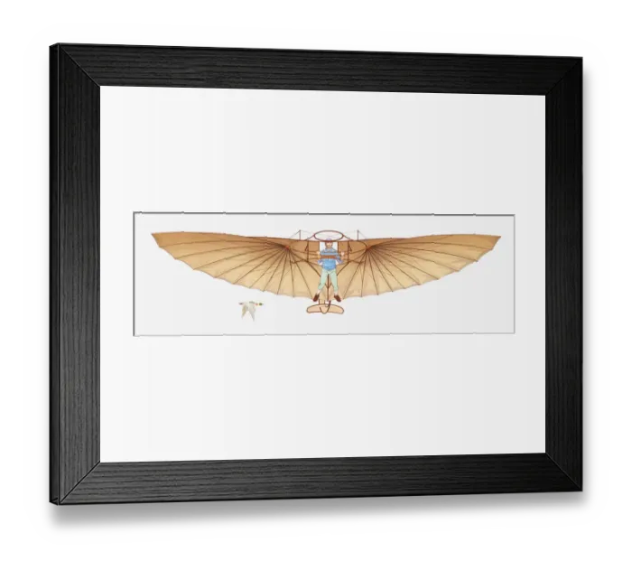 Framed Print : Illustration of a hang glider and a bird in mid-air Framed Print : Illustration of a hang glider and a bird in mid-air