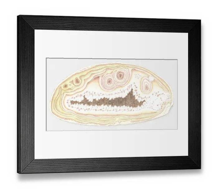 Framed Print : Illustration of agate