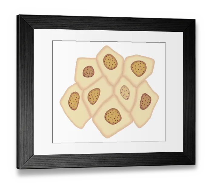 Framed Print : Cross section biomedical illustration of cancer cells forming tumour at third doubling stage Framed Print : Cross section biomedical illustration of cancer cells forming tumour at third doubling stage