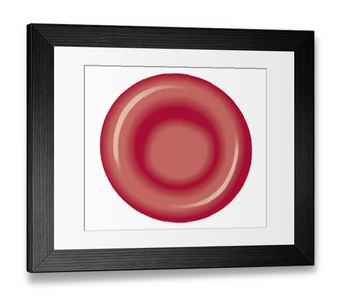 Framed Print : Biomedical illustration of red blood cell Framed Print : Biomedical illustration of red blood cell