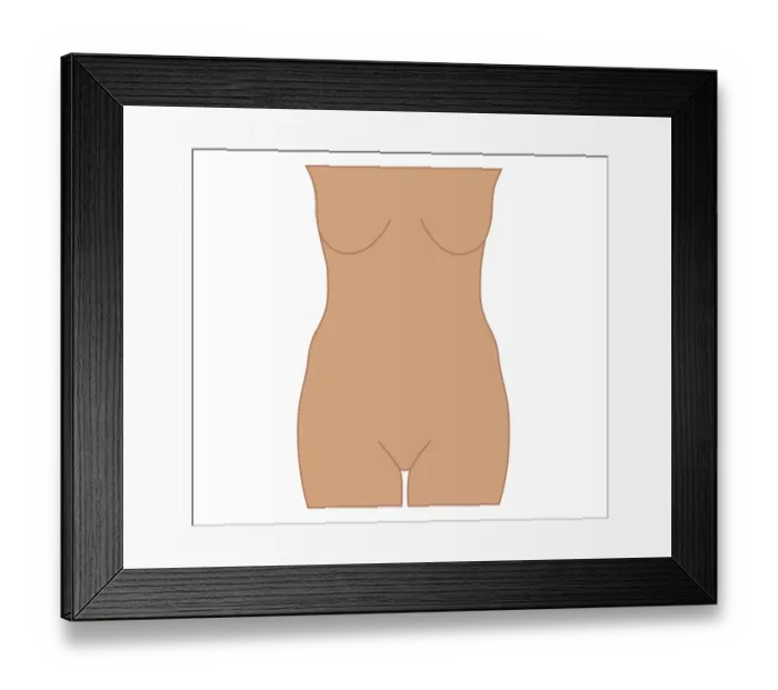 Framed Print : biomedical illustration of female mid section Framed Print : biomedical illustration of female mid section