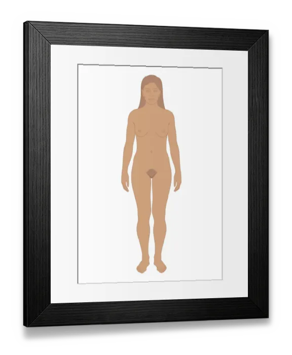 Framed Print : Cross section biomedical illustration of young woman after puberty Framed Print : Cross section biomedical illustration of young woman after puberty