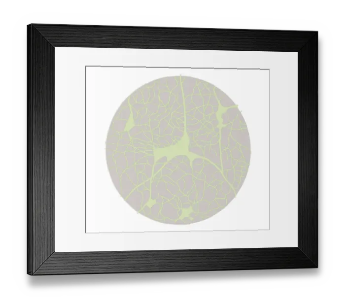 Framed Print : Biomedical illustration of neural network in young adult at 18 years Framed Print : Biomedical illustration of neural network in young adult at 18 years