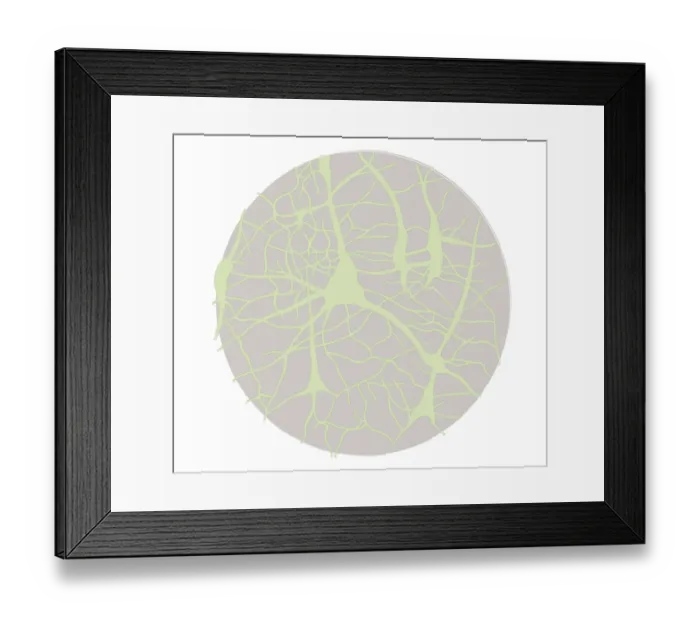 Framed Print : Biomedical illustration of neural network at 6 years of age