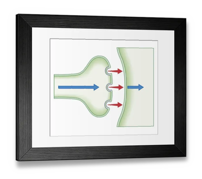 Framed Print : Cross section biomedical illustration of pain signal is transmitted from one brain cell to the next before opioid drug is administered Framed Print : Cross section biomedical illustration of pain signal is transmitted from one brain cell to the next before opioid drug is administered