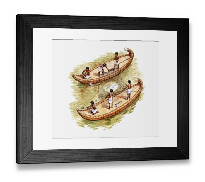 Framed Print : Illustration of two Ancient Egyptian fishing boats on the river Nile, side by side, linked together by net used to scoop up fish Framed Print : Illustration of two Ancient Egyptian fishing boats on the river Nile, side by side, linked together by net used to scoop up fish