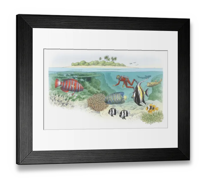 Framed Print : Cross section illustration of scuba diver swimming near coral reef, and tropical in waters off island Framed Print : Cross section illustration of scuba diver swimming near coral reef, and tropical in waters off island