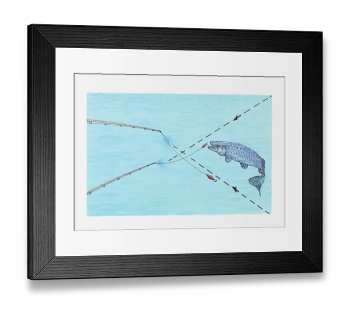 Framed Print : Illustration of using two-lure trick to catch Muskie fish Framed Print : Illustration of using two-lure trick to catch Muskie fish