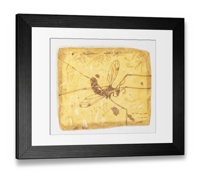 Framed Print : Illustration of insect in amber Framed Print : Illustration of insect in amber
