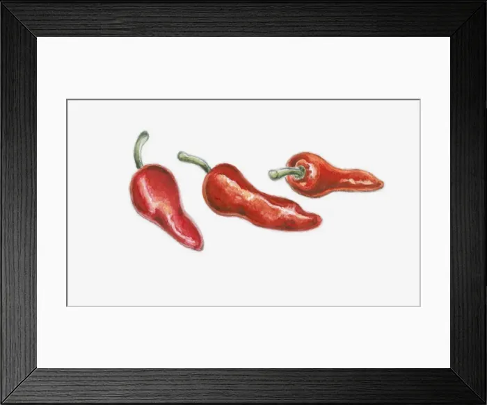 Framed Print : Illustration of three red pimento peppers Framed Print : Illustration of three red pimento peppers