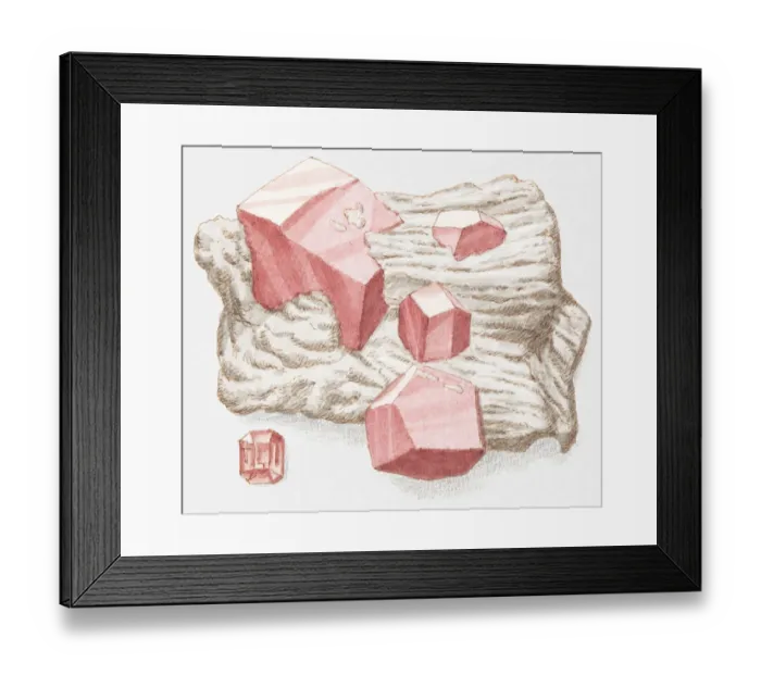 Framed Print : Illustration of garnet in rough form and cut crystal Framed Print : Illustration of garnet in rough form and cut crystal