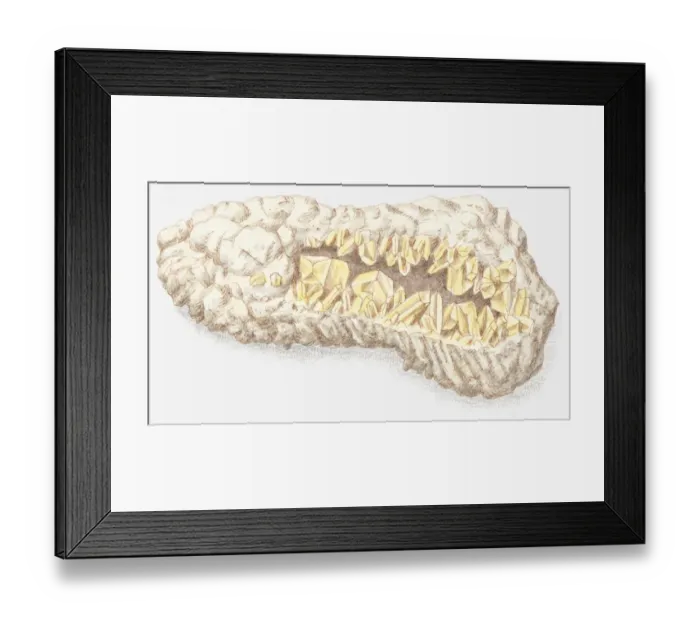 Framed Print : Illustration of topaz in rough form Framed Print : Illustration of topaz in rough form