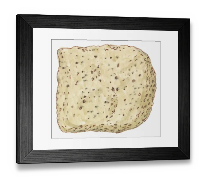 Framed Print : Illustration of pumice Framed Print : Illustration of pumice