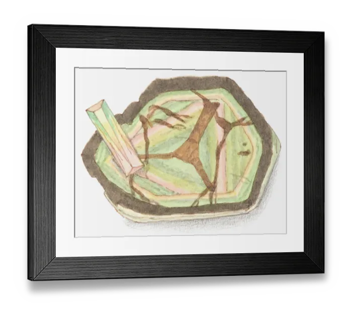 Framed Print : Illustration of tourmaline Framed Print : Illustration of tourmaline