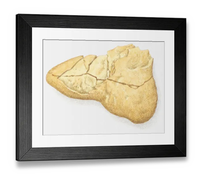 Framed Print : Illustration of ironstone Framed Print : Illustration of ironstone